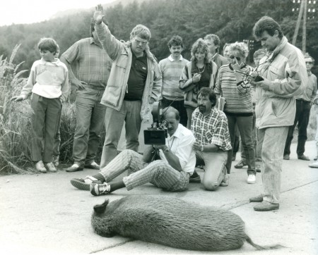 Poklad rytíře MIloty, 1989